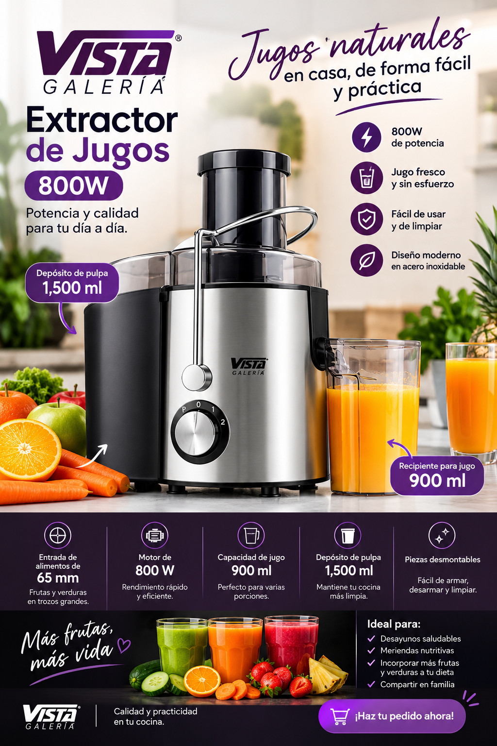 Extractor de Jugos  800W de Acero Inoxidable